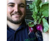 ORGANIC COLOURED RADISHES  Bunch Of 5  Katikati Grown